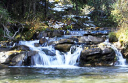 Story 1 - 151104 Crowsnest Pass Herald